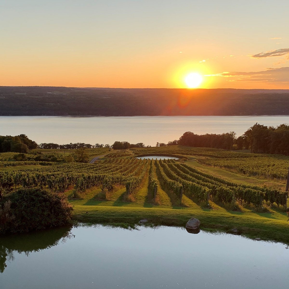 Chateau Lafayette Reneau winery in Hector, United States