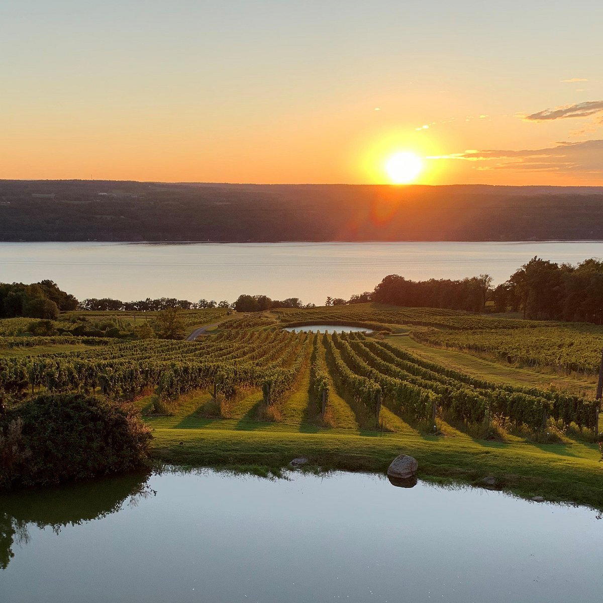 Chateau Lafayette Reneau winery in Hector