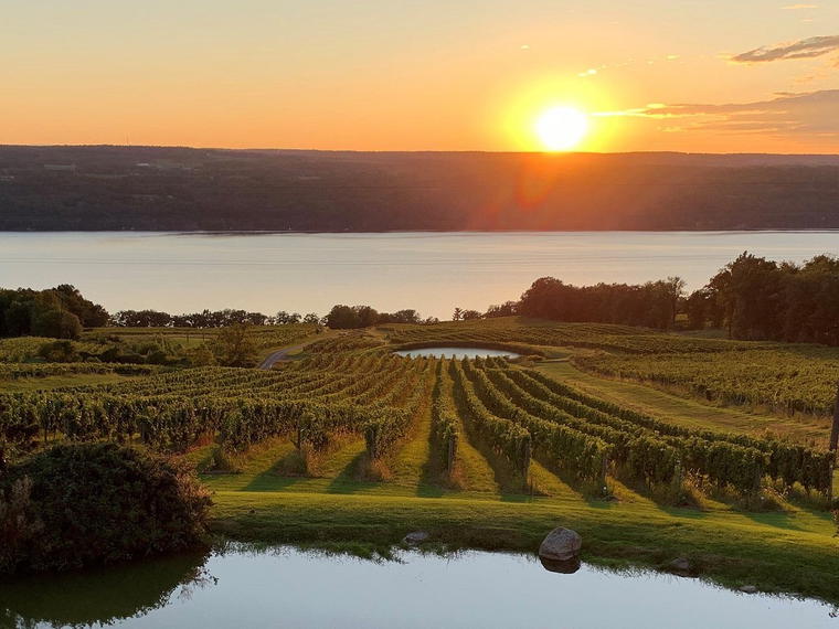 Chateau Lafayette Reneau, Hector, United States