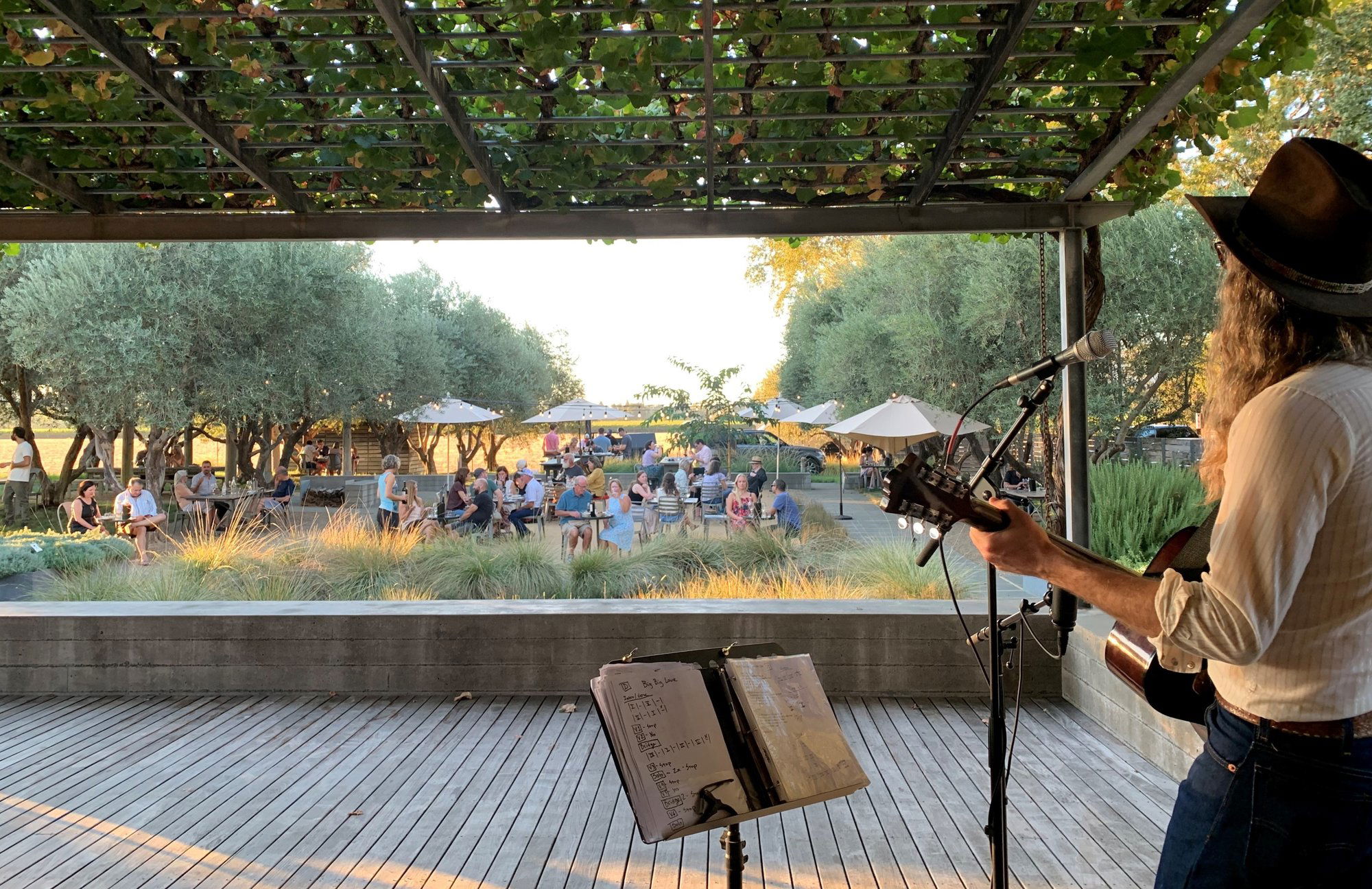 Medlock Ames Winery, Winery in Healdsburg