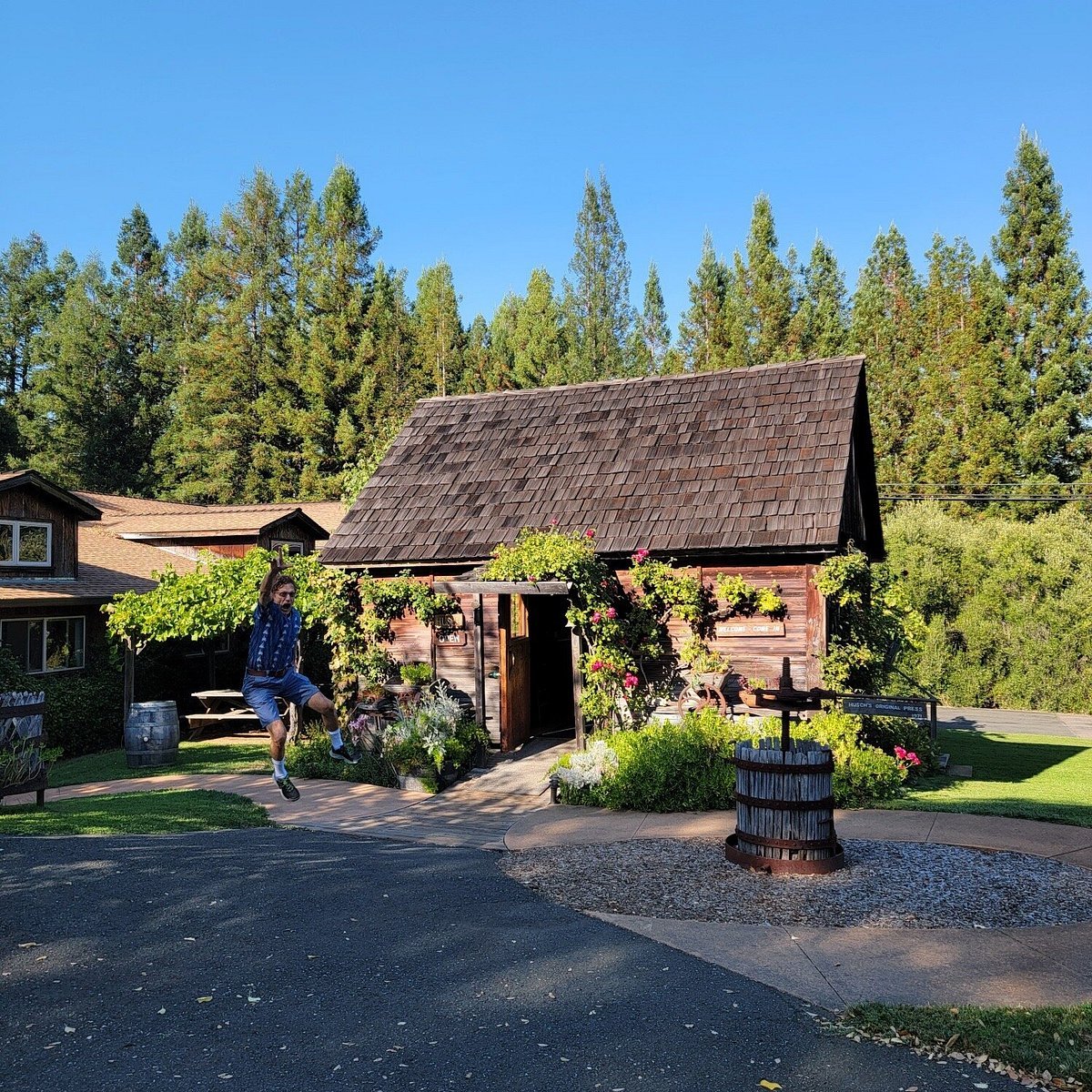 Husch Vineyards, Philo, United States