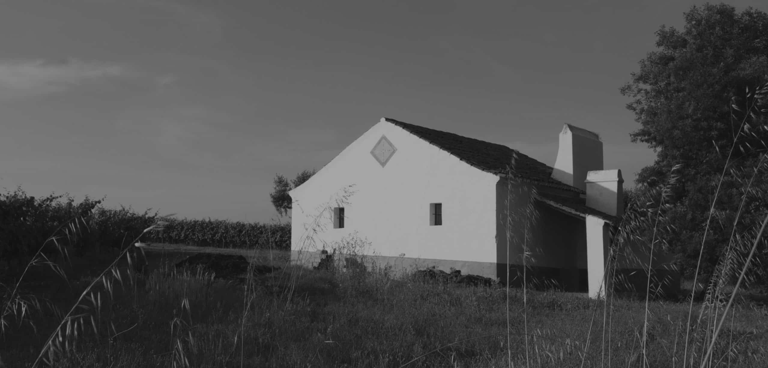 Herdade do Mouchão, Casa Branca, Portugal