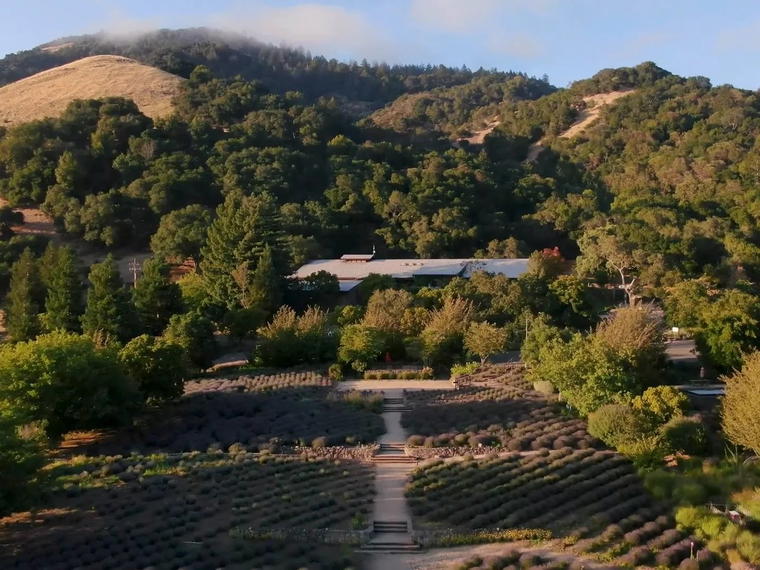 Matanzas Creek Winery, Santa Rosa, United States