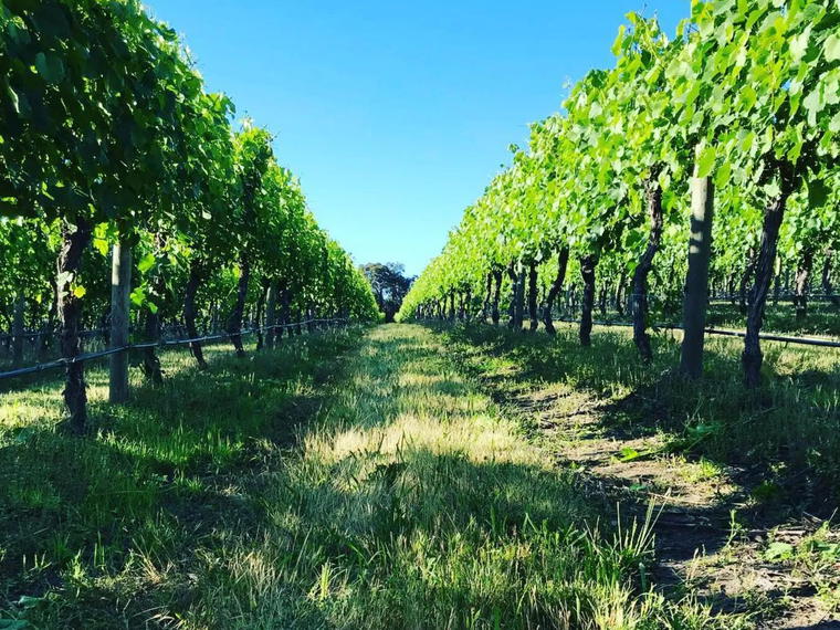 Hoddles Creek Estate, Yarra Valley, Australia