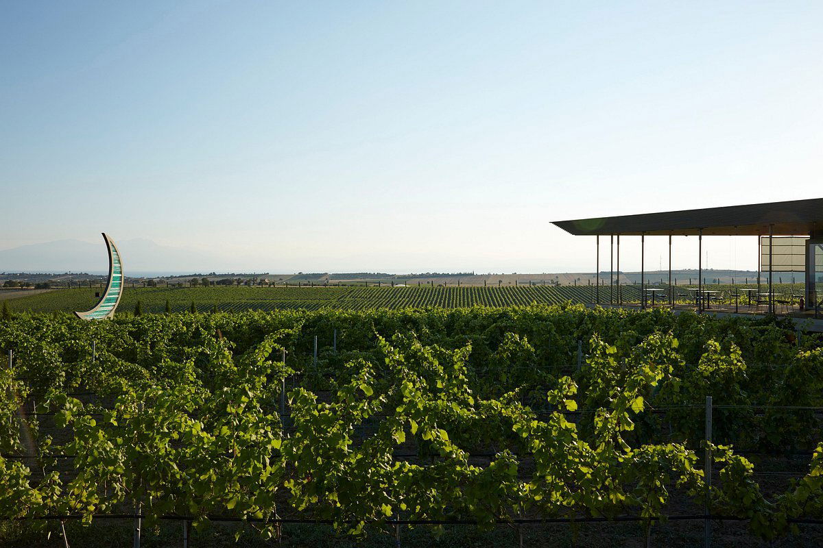 Domaine Gerovassiliou, Winery in Epanomi