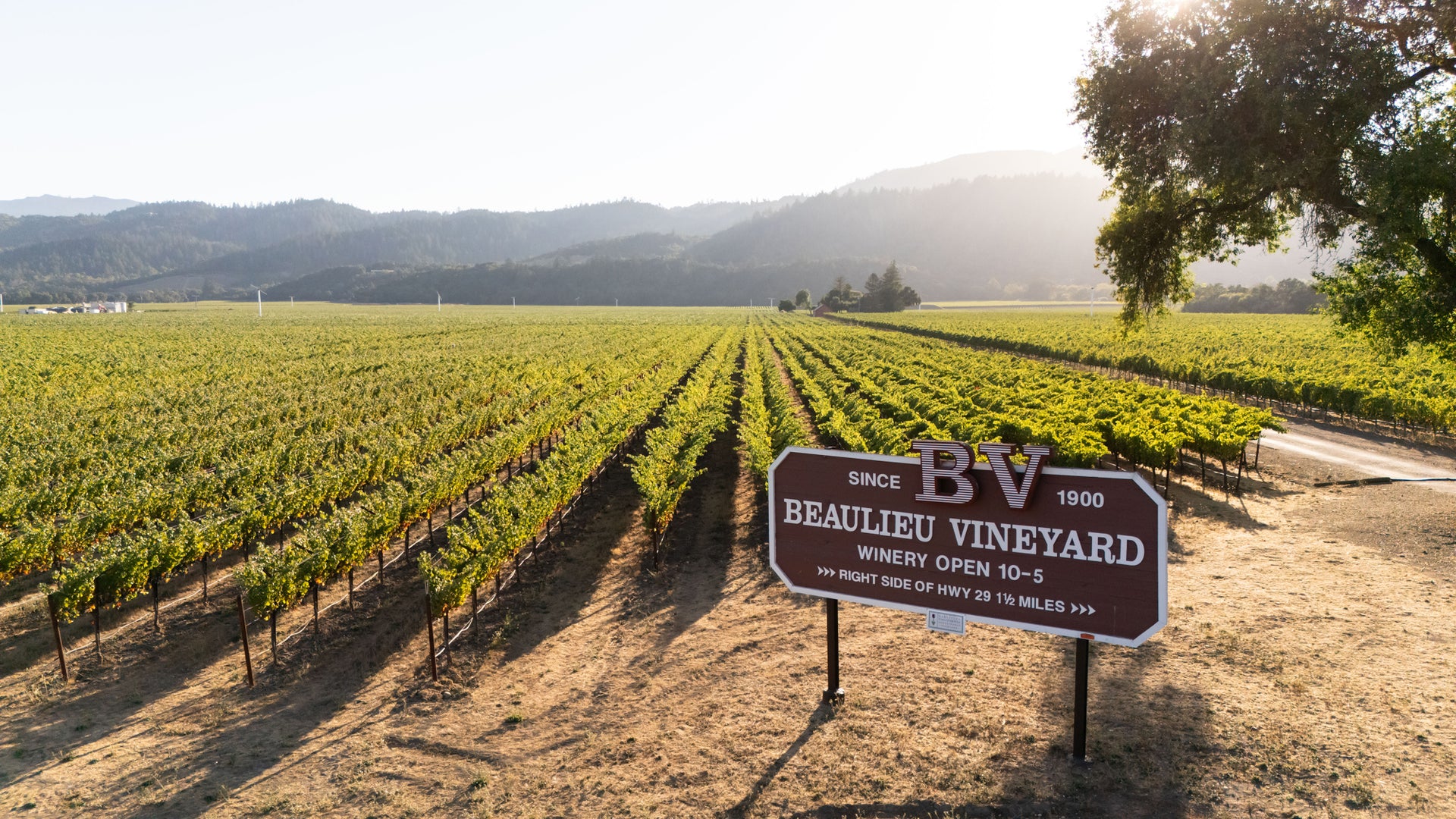 Beaulieu Vineyard (BV), Winery in Rutherford