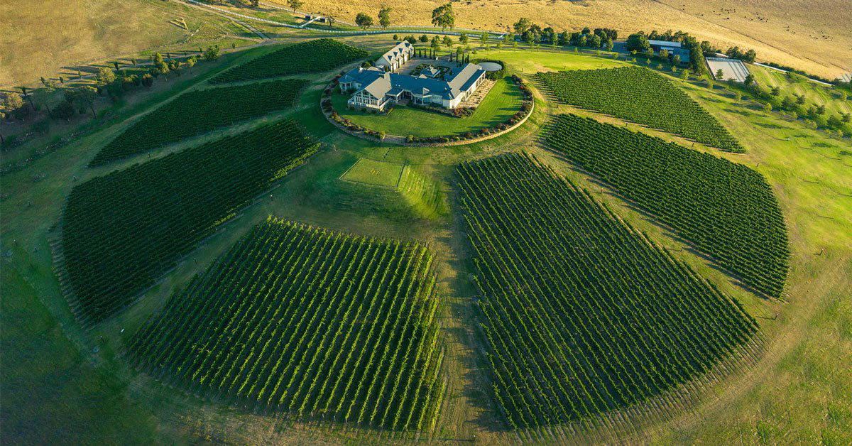 Levantine Hill, Winery in Yarra Valley