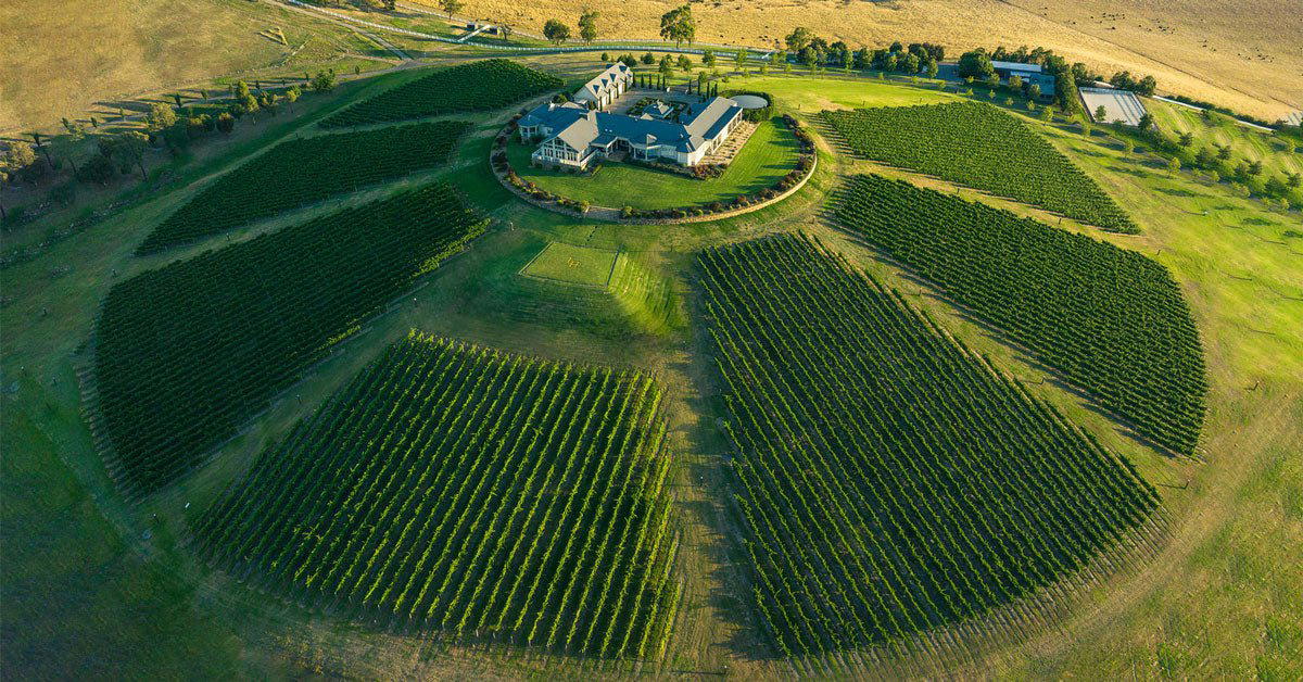 Levantine Hill winery in Yarra Valley