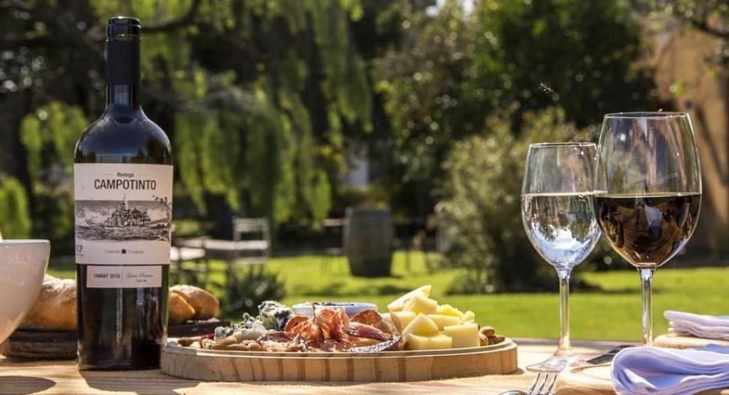 Campotinto winery in Carmelo, Uruguay