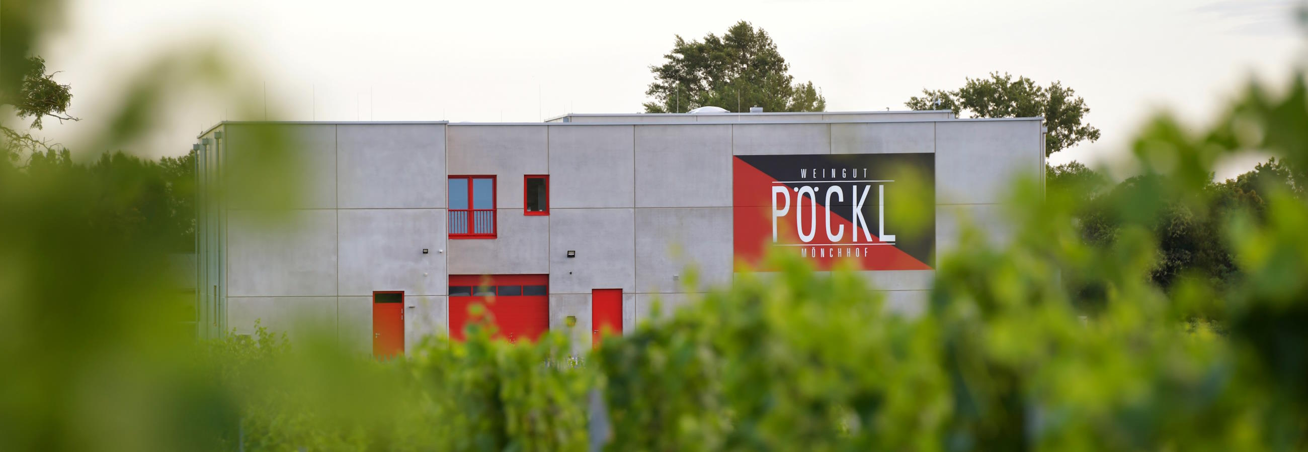 Weingut Pöckl, Winery in Mönchhof