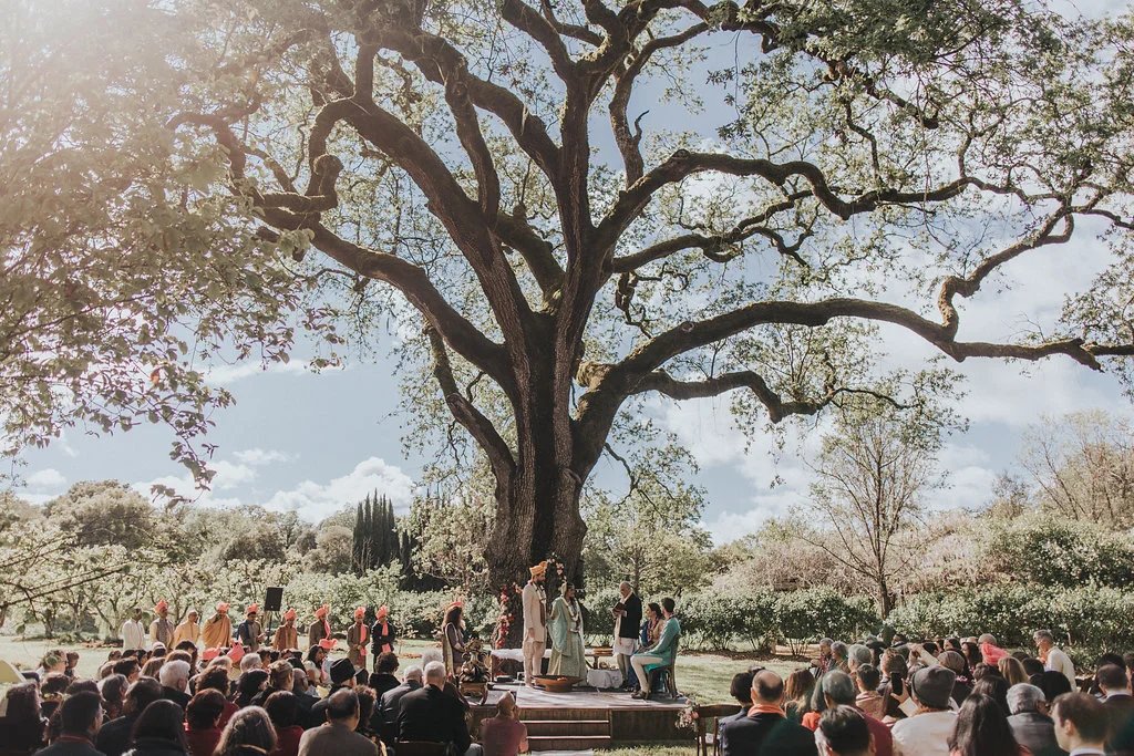 Campovida, Hopland, United States
