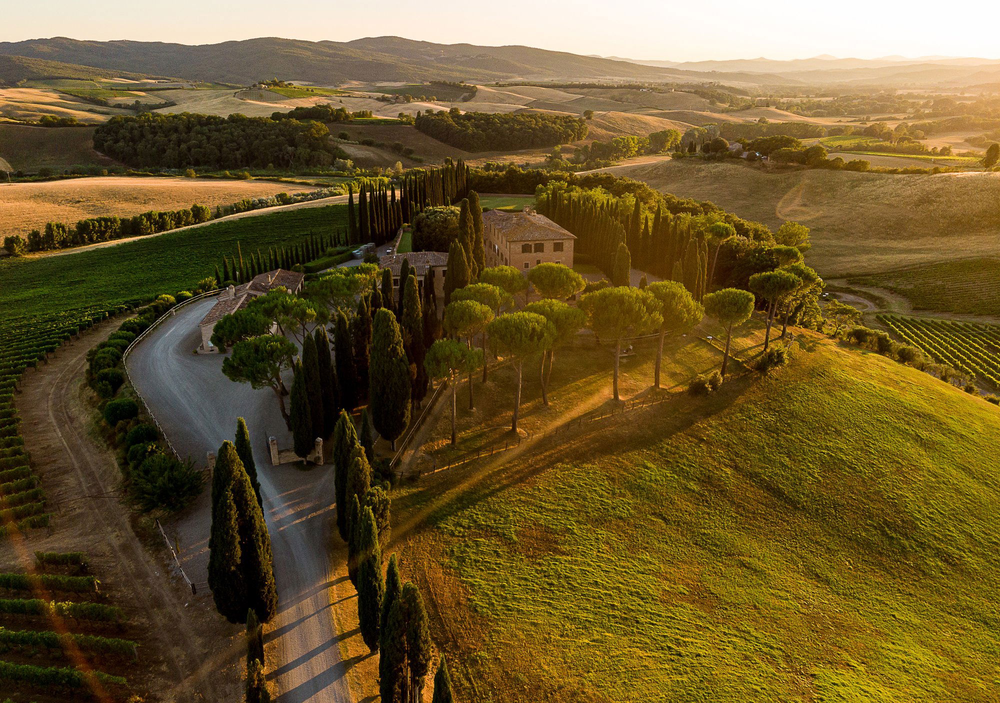 Altesino, Winery in Montalcino