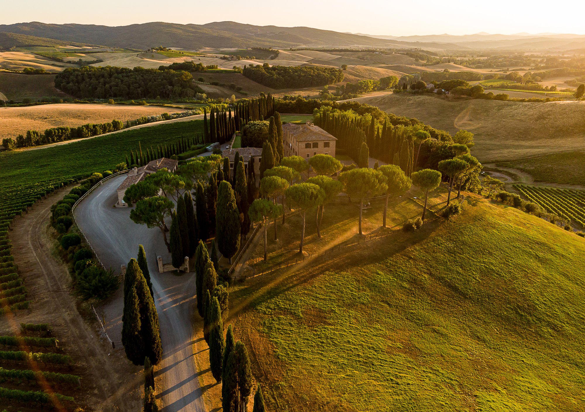 Altesino winery in Montalcino