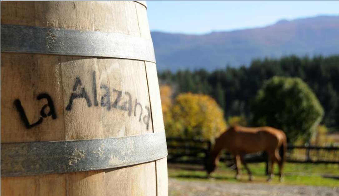 La Alazana Distillery, Winery in Bariloche