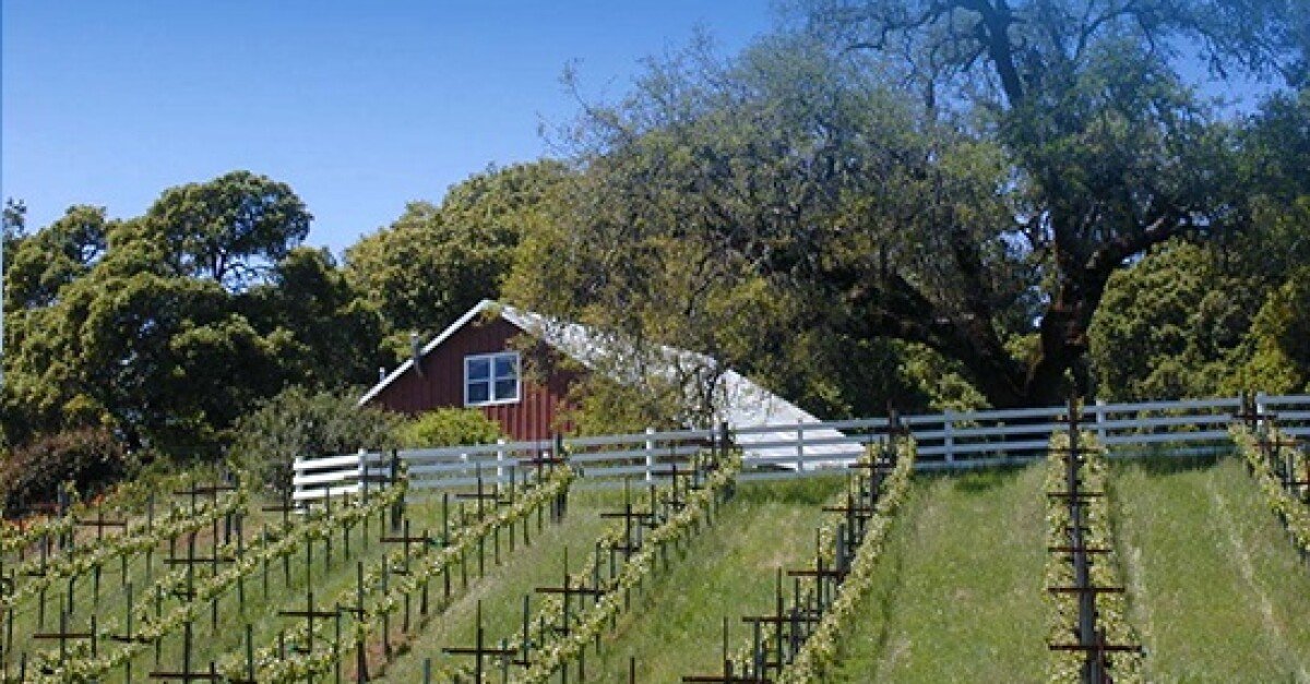 Le Vin Estate Winery winery in Yorkville, United States