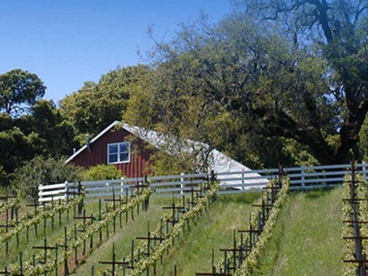Le Vin Estate Winery, Yorkville, United States