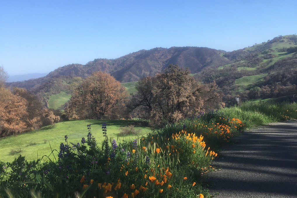 Cain Vineyard & Winery