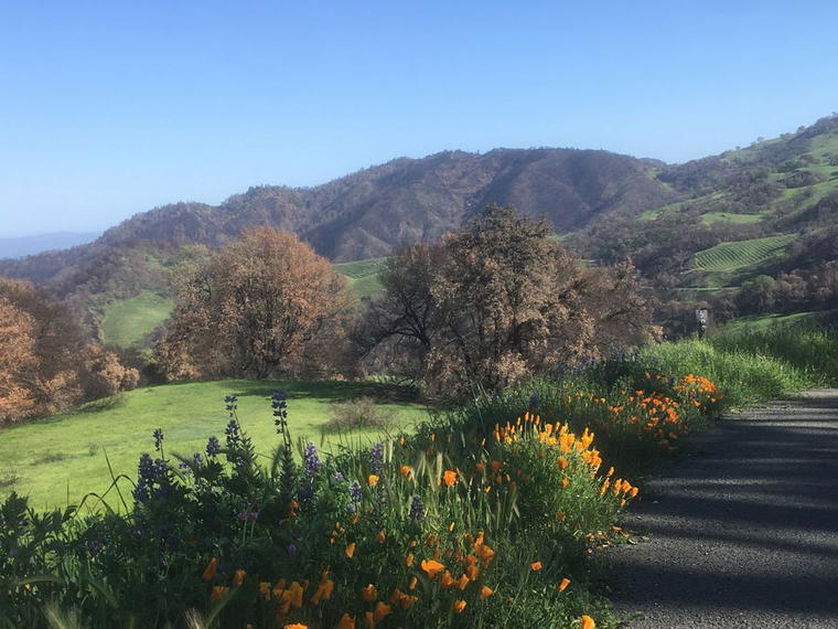 Cain Vineyard & Winery, St. Helena, United States