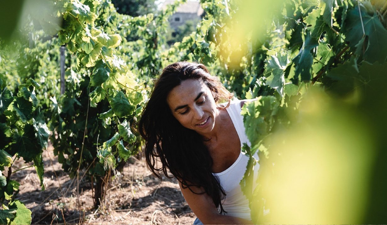 Azienda Agricola Arianna Occhipinti, Winery in Vittoria