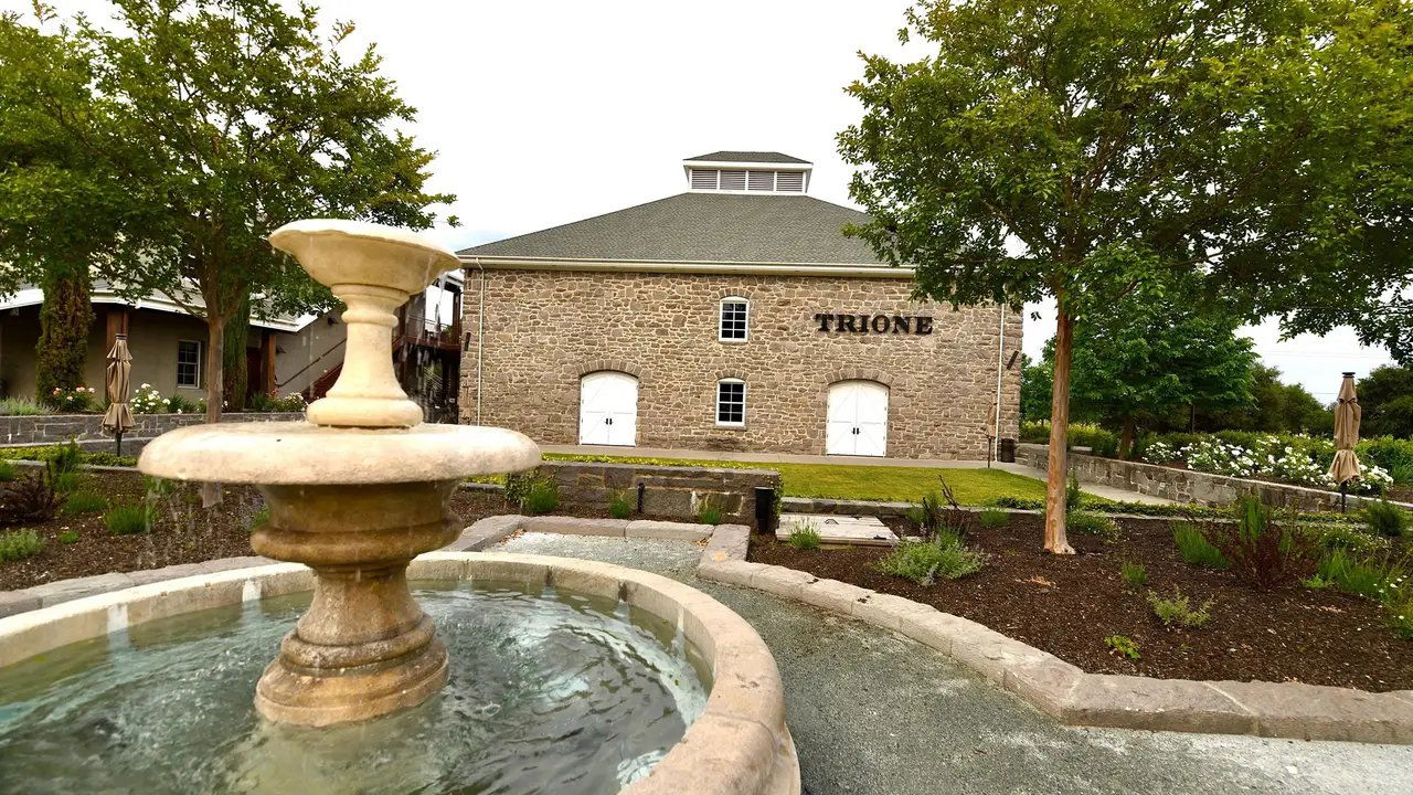 Trione Vineyards & Winery, Winery in Geyserville