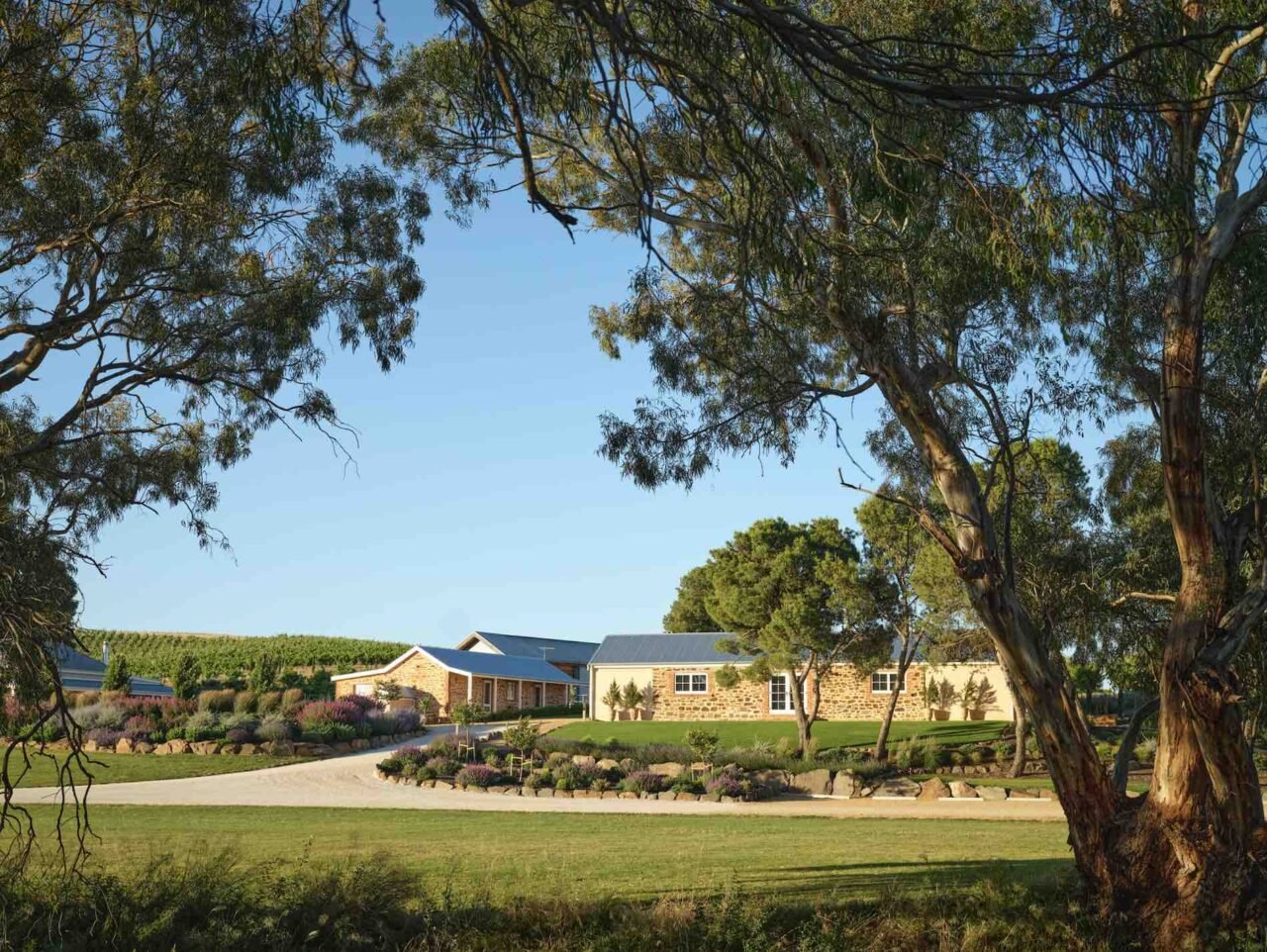 Alkina Wine Estate winery in Barossa Valley, Australia