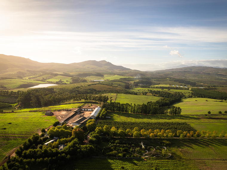 Paul Cluver Wines, Elgin, South Africa