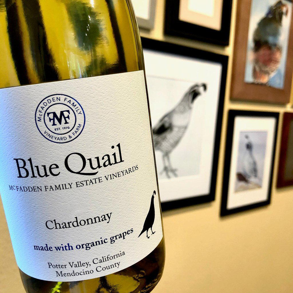 McFadden Vineyard (Blue Quail) winery in Hopland, United States