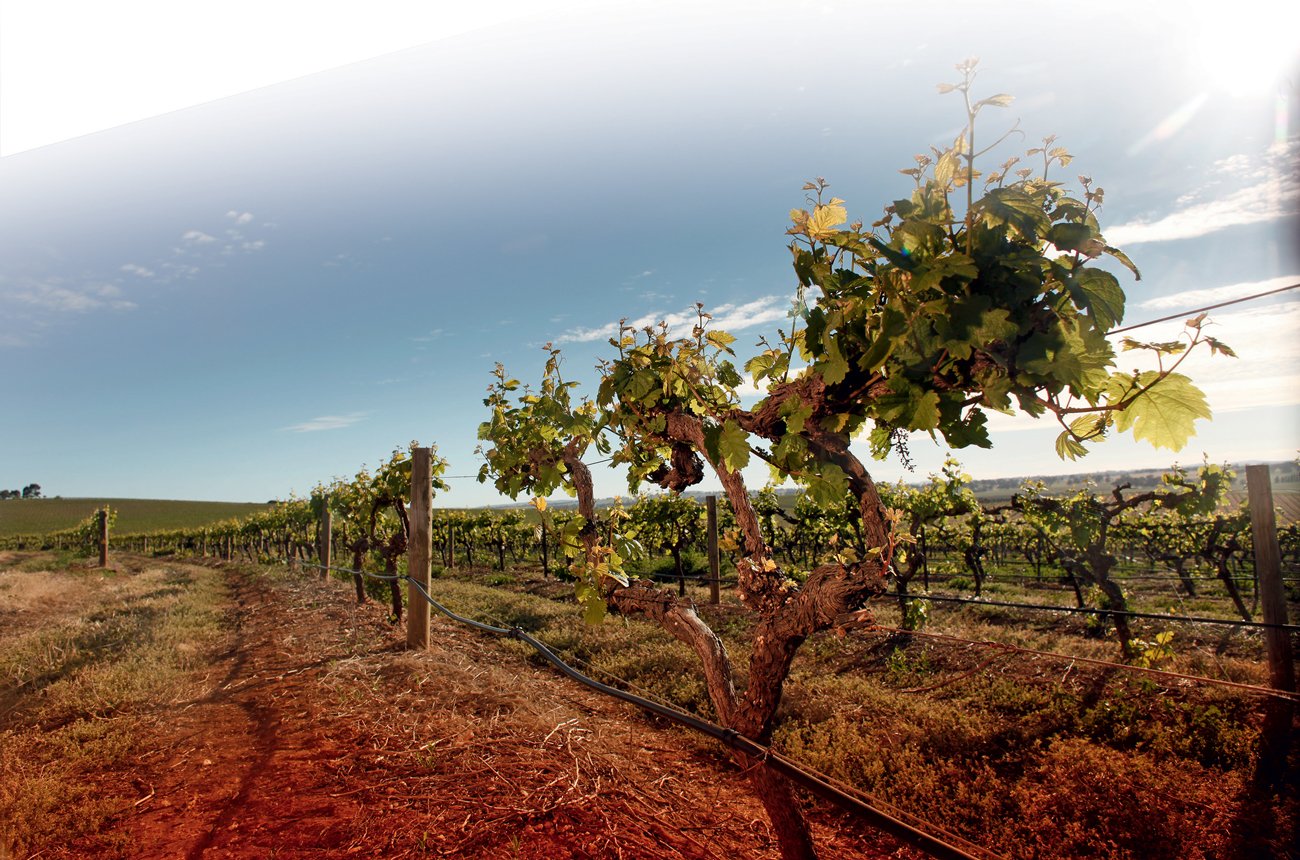 Wendouree