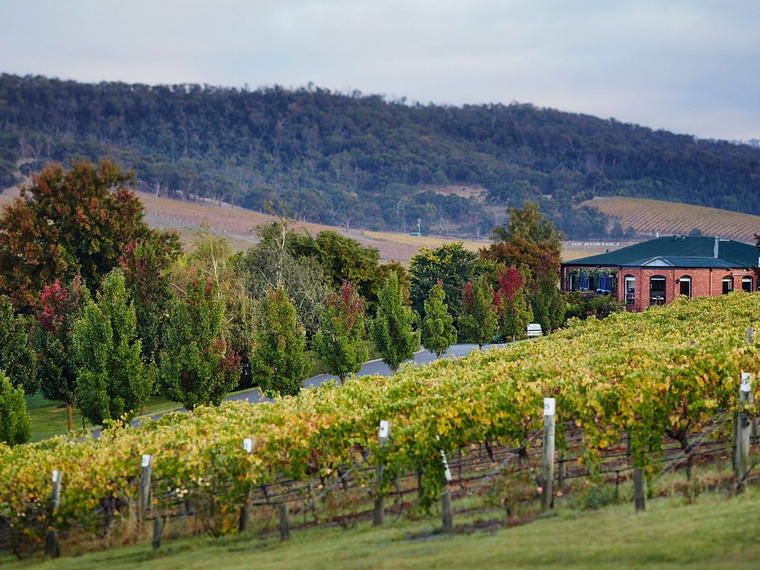 De Bortoli, Yarra Valley, Australia