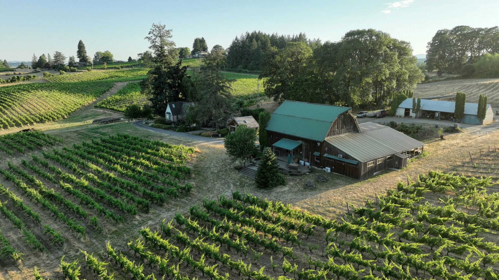 Brick House Wine Co. winery in Newberg, United States