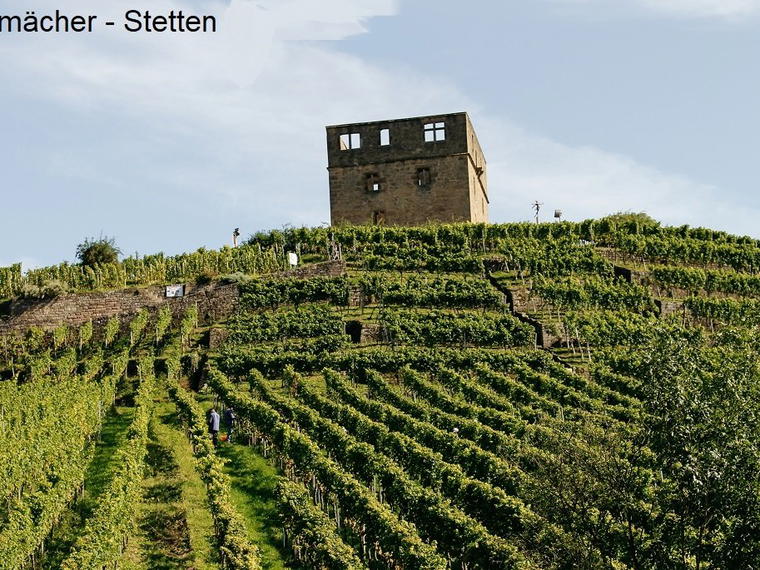 Weingut Karl Haidle, Kernen-Stetten, Germany