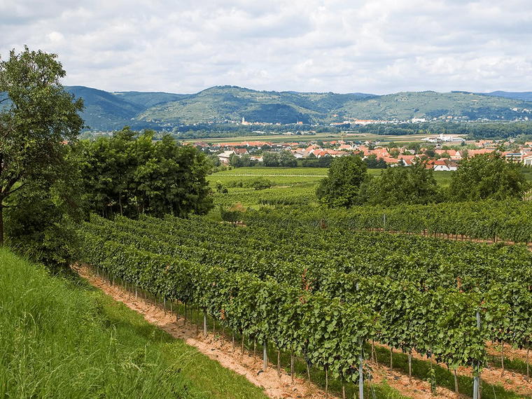Weingut Petra Unger, Furth, Austria