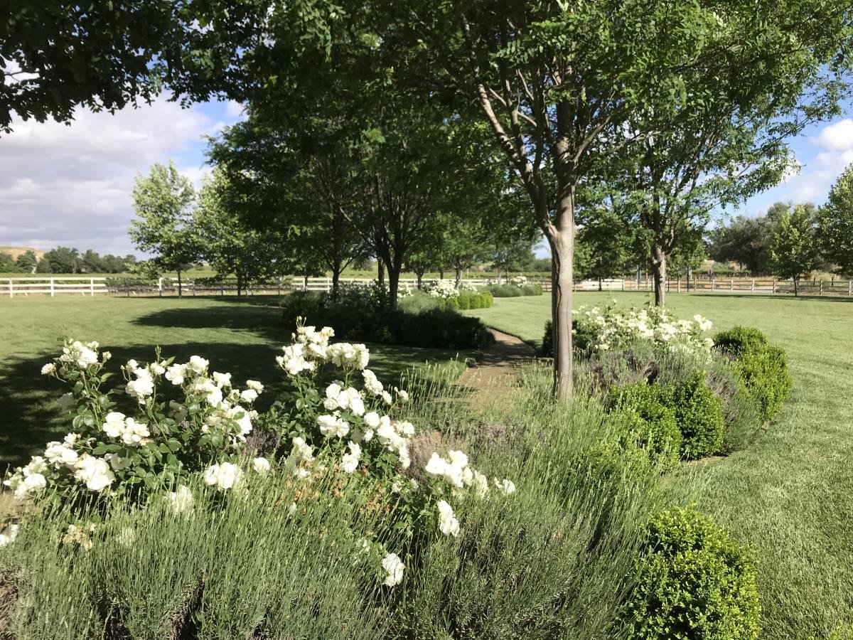 Riverstar Vineyards