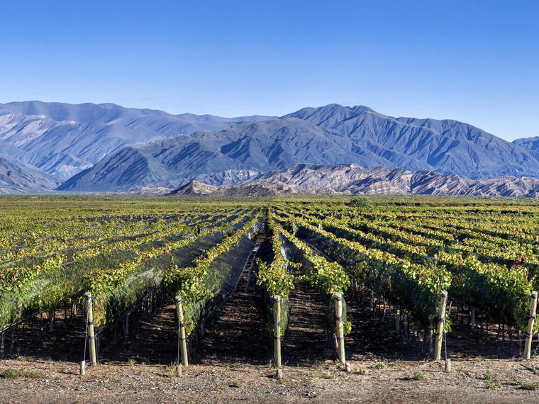 Bodegas CARO, Mendoza, Argentina