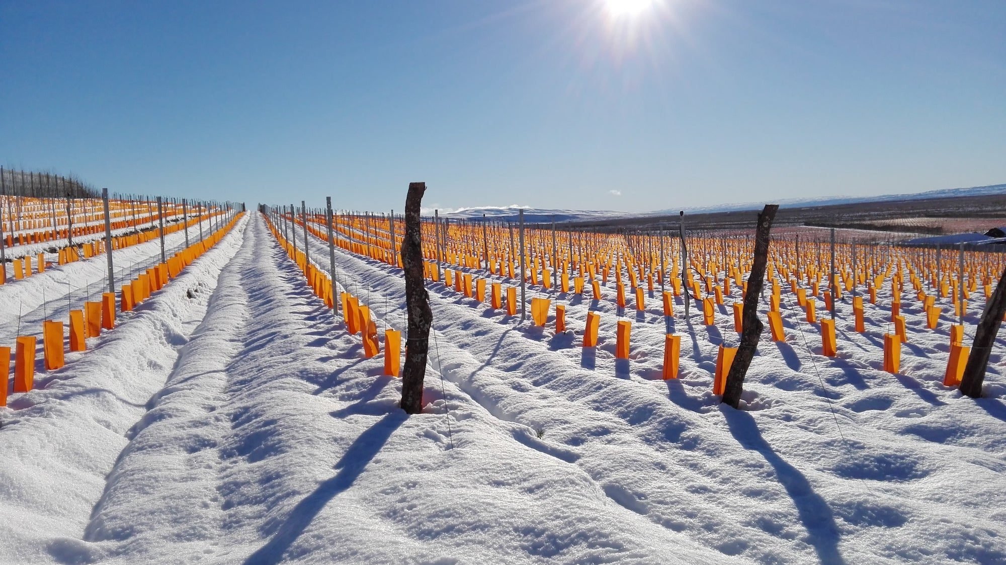 Bodega Otronia winery in Sarmiento, Argentina