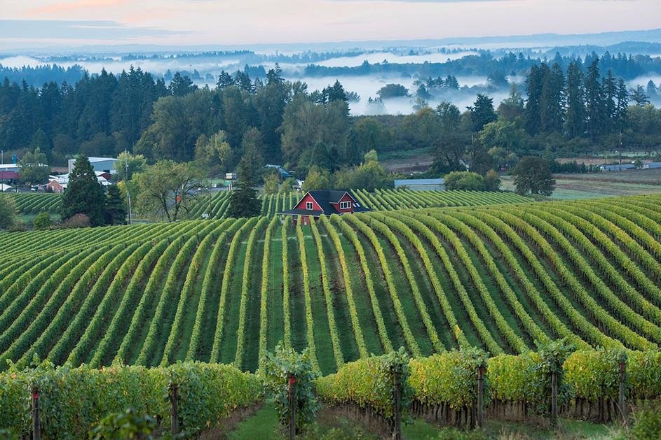 Sokol Blosser Winery winery in Dayton, United States