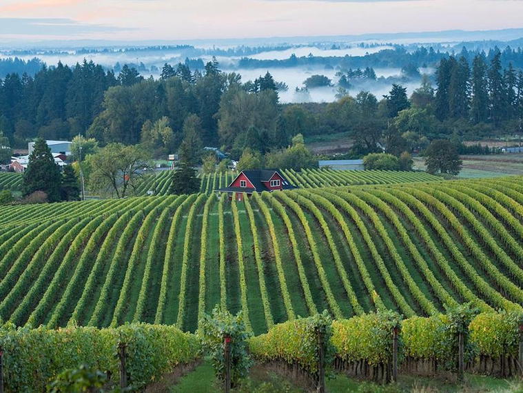 Sokol Blosser Winery, Dayton, United States