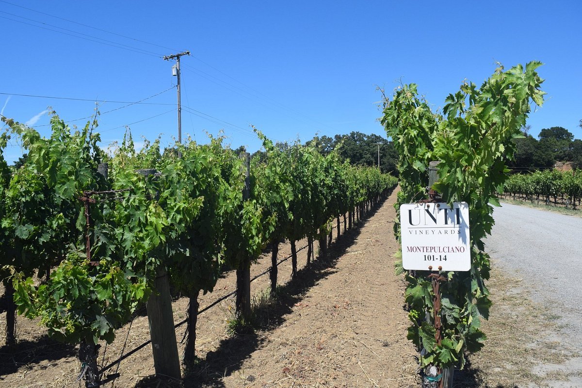Unti Vineyards winery in Healdsburg, United States