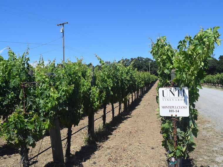 Unti Vineyards, Healdsburg, United States