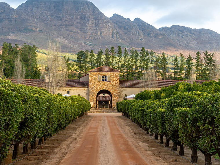 Waterford Estate, Stellenbosch, South Africa