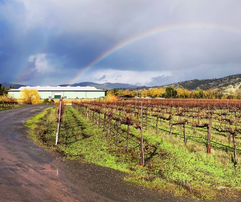 Frey Vineyards winery in Redwood Valley, United States