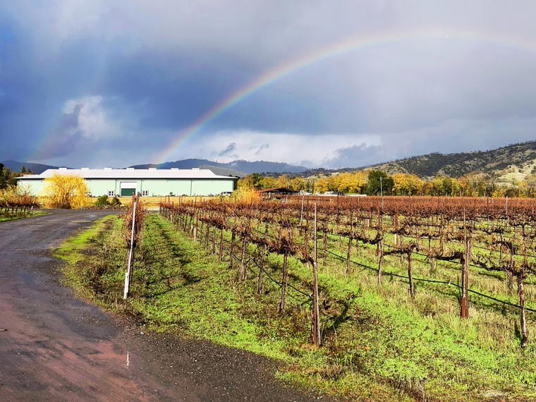 Frey Vineyards, Redwood Valley, United States