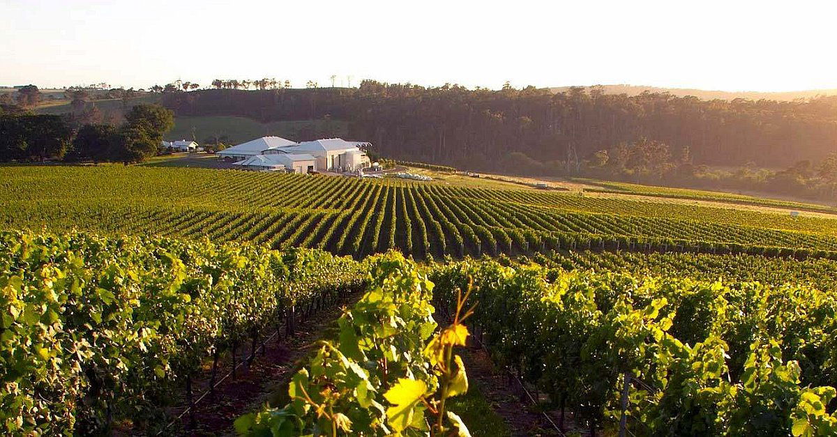 House of Arras, Winery in Pipers River