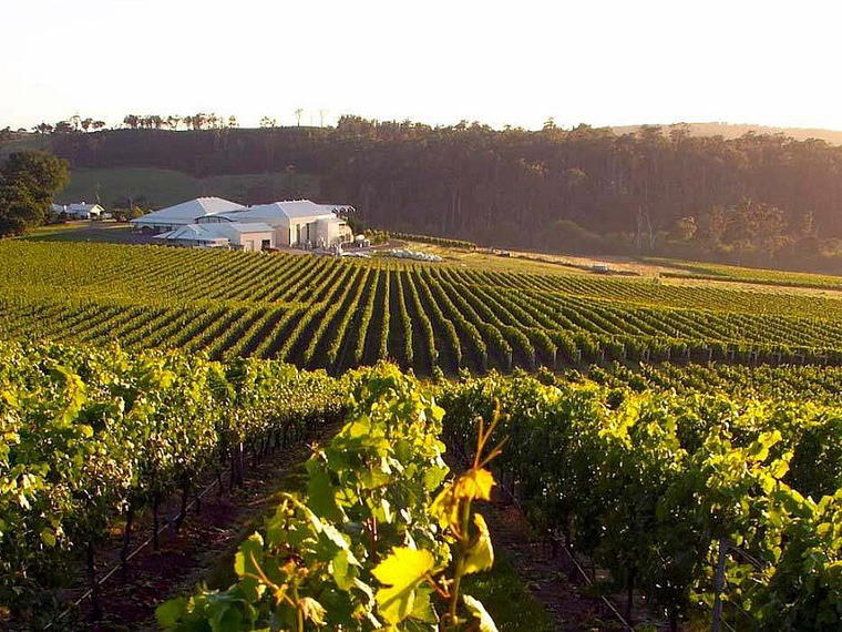 House of Arras, Pipers River, Australia