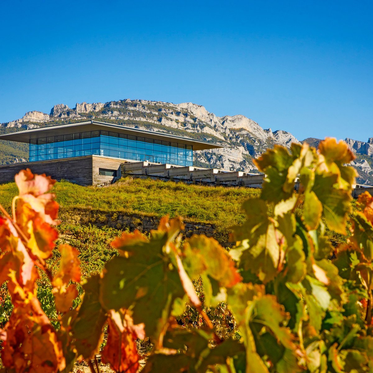 Bodegas Baigorri winery in Samaniego, Spain
