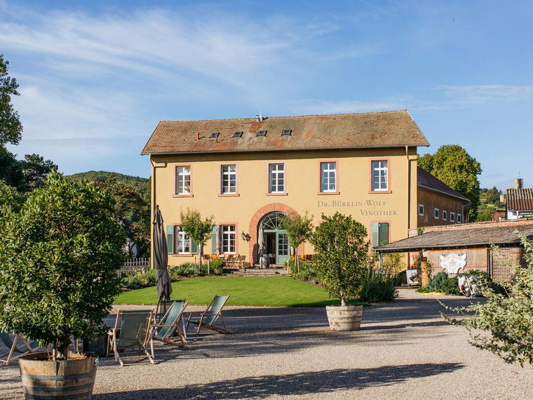 Weingut Dr. Bürklin-Wolf, Wachenheim an der Weinstraße, Germany