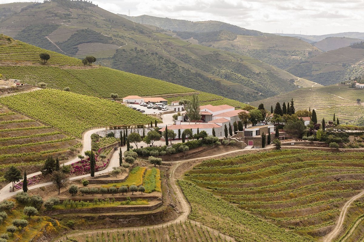 Quinta Nova de Nossa Senhora do Carmo winery in Covas do Douro, Portugal
