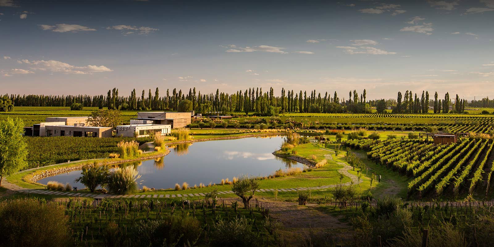DURIGUTTI Family Winemakers