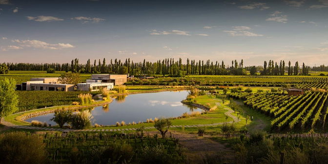 DURIGUTTI Family Winemakers