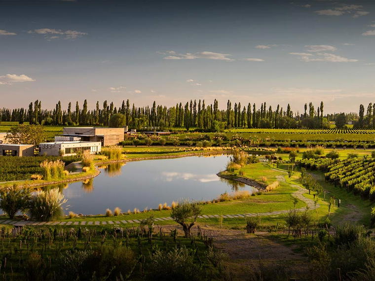 DURIGUTTI Family Winemakers, Luján de Cuyo, Argentina